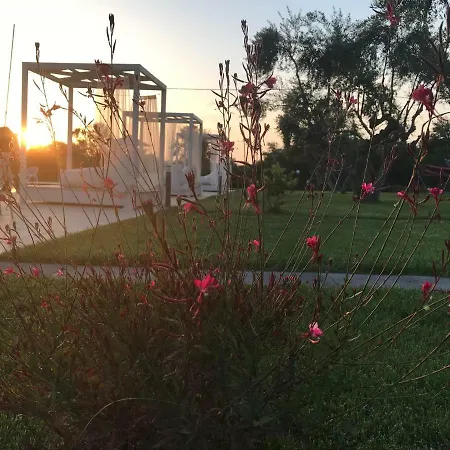 Messinian Horizons マラトポリス