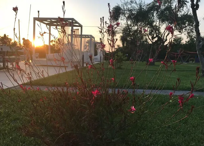 Messinian Horizons Marathópoli