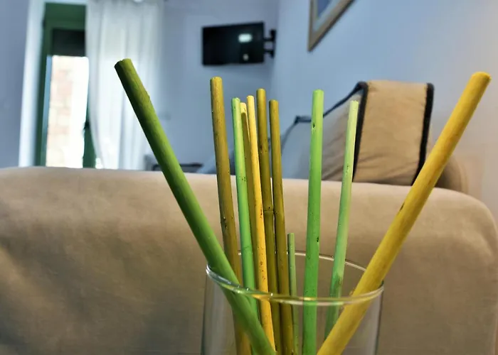 Messinian Horizons Marathópoli